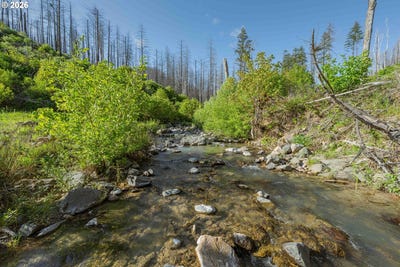 /international/us/942-honey-creek-rd-idleyldpark-or-110107806803/