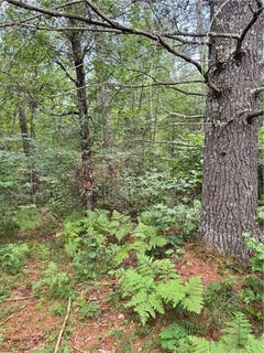 /international/us/e-wilderness-court-barnes-wi-110100519021/