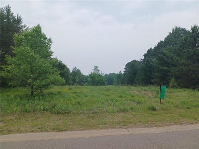 /international/us/4011-161st-ln-ne-ham-lake-mn-110100156861/?lang=en