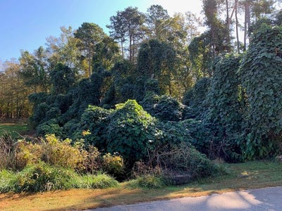 /international/us/169-lakeshore-dr-chesnee-sc-110095476600/