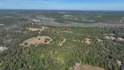 /international/us/6362-nw-camphead-rd-altha-fl-110096390470/