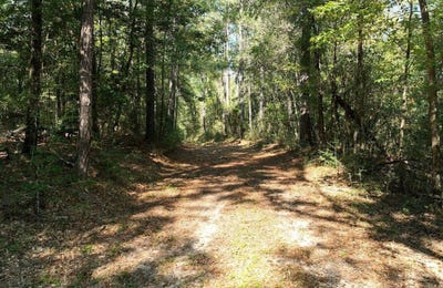 /international/us/-mt-sinai-cemetery-road-lucedale-ms-110095395883/?lang=en