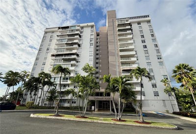/international/us/40-calle-10-guaynabo-pr-110107827432/