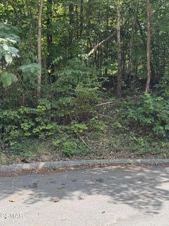 /international/us/sb-ogle-lane-pigeon-forge-tn-110119990149/