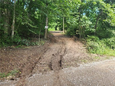 /international/us/township-rd-51-warsaw-oh-110100800362/