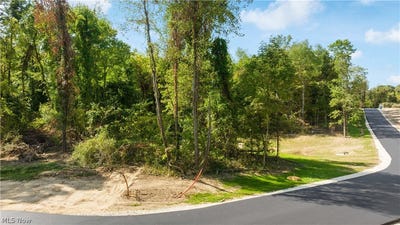/international/us/4710-pinecrest-drive-uniontown-oh-110120637322/