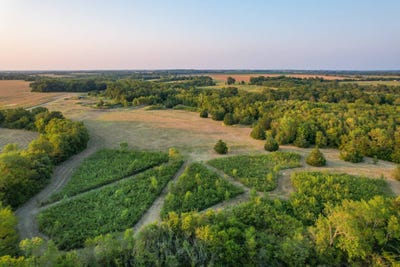 /international/us/tbd-40ac-county-road-3550-honey-grove-tx-110095206901/
