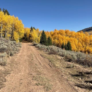 /international/us/tbd-miller-creek-road-kemmerer-wy-110107572449/
