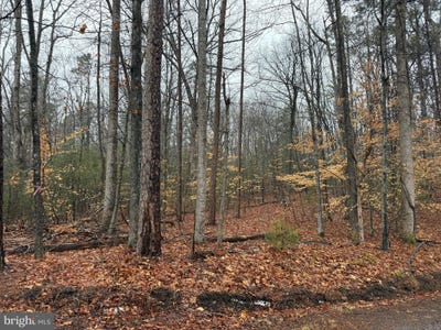 /international/us/tatum-school-road-madison-va-110105837208/