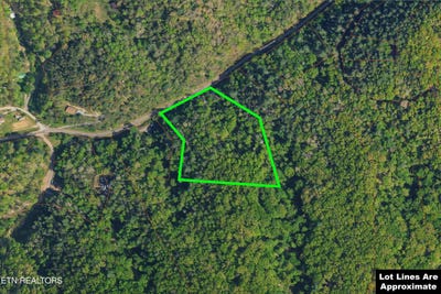 /international/us/4138-richardson-cove-rd-sevierville-tn-110101503821/?lang=zh-cn