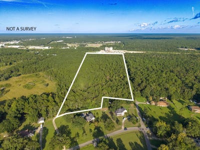/international/us/williamsburg-picayune-ms-110120549918/