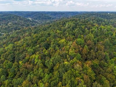 /international/us/6897-county-road-15-chesapeake-oh-110108938160/