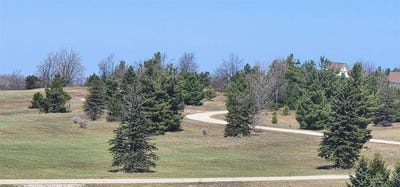 /international/us/5850-deer-run-harbor-springs-mi-110106614274/