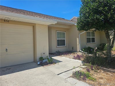 /international/us/650-w-diamondbird-loop-hernando-fl-110107822213/
