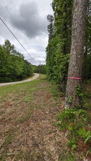 /international/us/69-98-acres-hwy-154-morrilton-ar-110081994266/