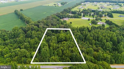 /international/us/burnt-mill-road-ridgely-md-110097765521/