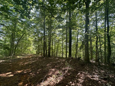 /international/us/0-rudge-road-burkesville-ky-110101451325/?lang=zh-cn