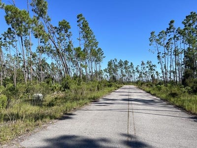 /international/us/00-e-bay-dr-wewahitchka-fl-110100675002/?lang=zh-tw