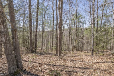 /international/us/ridge-road-lot-2-bath-me-110107456599/