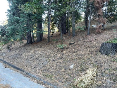 /international/us/26405-walnut-hills-lake-arrowhead-ca-110102574689/