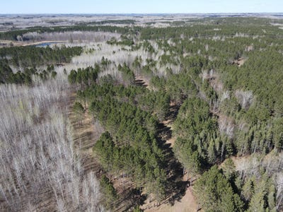 /international/us/tbd-280ac-maple-grove-road-cloquet-mn-110108149908/