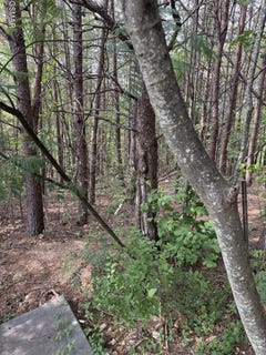 /international/us/seth-road-lot-14-pigeon-forge-tn-110108205424/