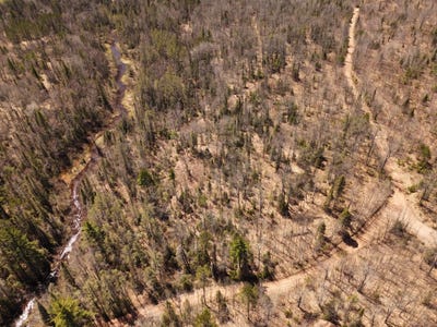 /international/us/15-86-ac-mill-creek-ln-land-o-lakes-wi-110108724037/