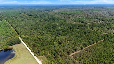 /international/us/2000-sand-ridge-road-haworth-ok-110110354969/