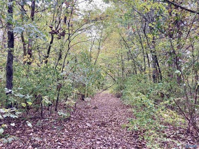 /international/us/13-14-forest-home-drive-trinity-al-110107381036/