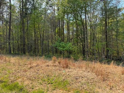 /international/us/ironsburg-road-tellico-plains-tn-110110101093/