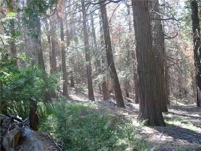 /international/us/crestline-road-palomar-mountain-ca-110108205517/