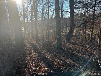 /international/us/14-wagon-creek-loop-creal-springs-il-110098953056/