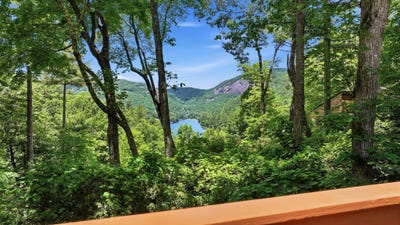 /international/us/122-emerald-ridge-road-sapphire-nc-110108988509/