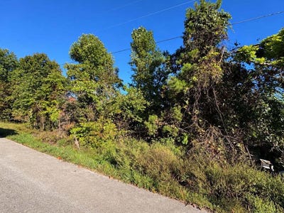 /international/us/turkey-ridge-road-lot-40-wellington-ky-110120456429/