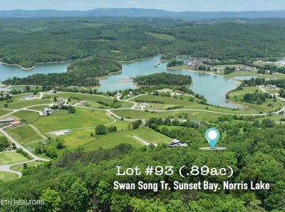 /international/us/lot-93-swan-song-tr-sharps-chapel-tn-110094866252/