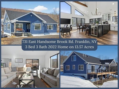 /international/us/731-e-handsome-brook-road-franklin-ny-110106251342/