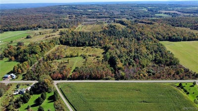 /international/us/flucker-hill-road-forestville-ny-110120127229/