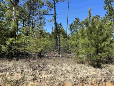/international/us/tbd-preserver-road-neeses-sc-110098820760/?lang=zh-tw