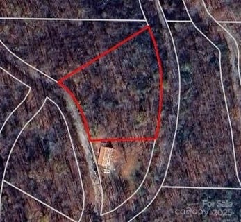 /international/us/bald-eagle-drive-hendersonville-nc-110101194509/?lang=zh-tw