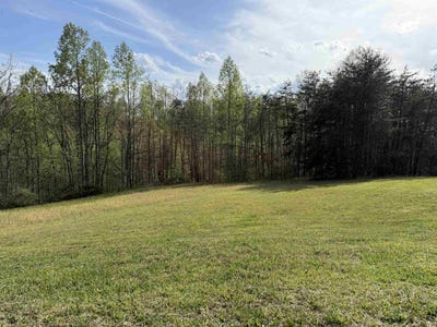 /international/us/219-wallace-drive-milton-wv-110107464512/