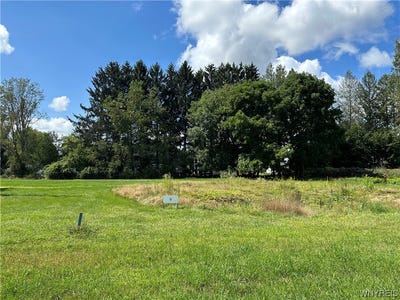 /international/us/lot-9-tanglewood-development-allegany-ny-110081514631/?lang=zh-tw