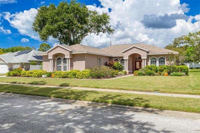 /international/us/1555-sunray-drive-palm-harbor-fl-110120113605/