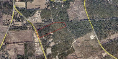 /international/us/15-acres-s-dixie-road-wagener-sc-110108194541/