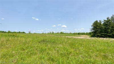 /international/us/63700-wintergreen-road-lore-city-oh-110084710952/?lang=zh-tw