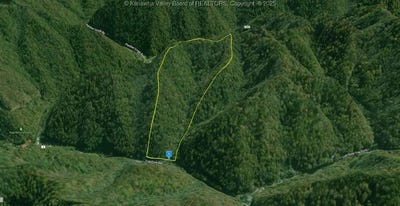 /international/us/0-trap-fork-road-wv-110101147728/?lang=en