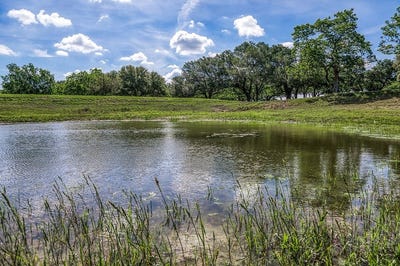 /international/us/tract-1-8145-farm-to-market-road-390-east-brenham-tx-110107883952/