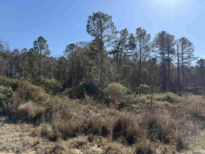 /international/us/lot-5-d-texas-st-livingston-la-110105256346/