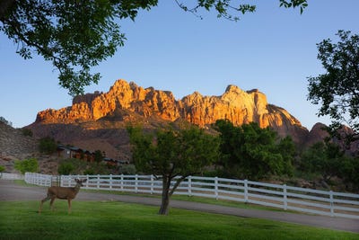 /international/us/2428-zion-park-blvd-springdale-ut-110108295550/