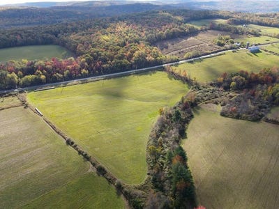 /international/us/parrott-road-cayuta-ny-110107544182/