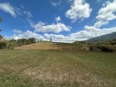 /international/us/621-point-pleasant-rd-lot-2-4-bland-va-110106700410/